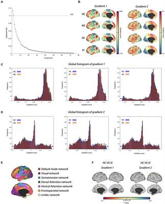 Cortical hierarchy disorganization in major depressive disorder and its association with suicidality